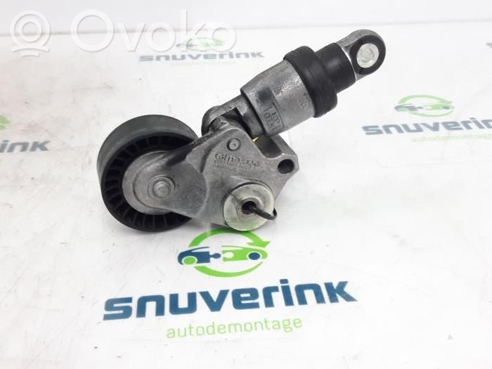 Mazda CX-3 Napinacz paska wielorowkowego / Alternatora 