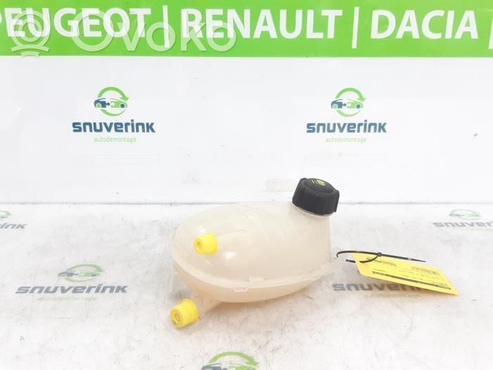 Renault Clio V Zbiornik wyrównawczy chłodziwa