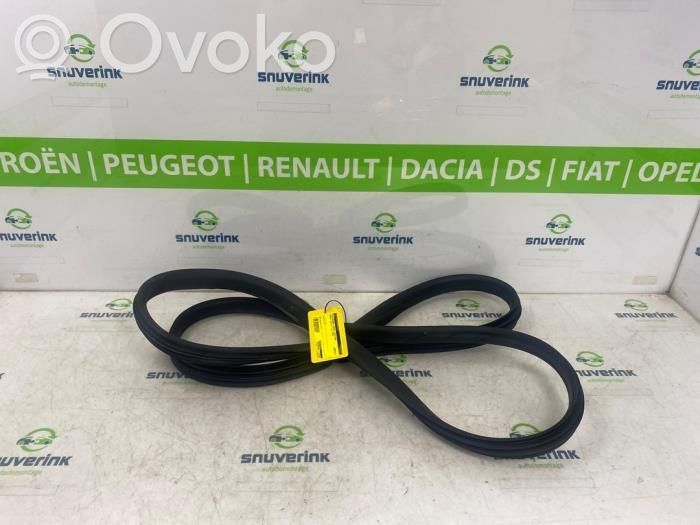 Renault Zoe Guarnizione in gomma portiera anteriore