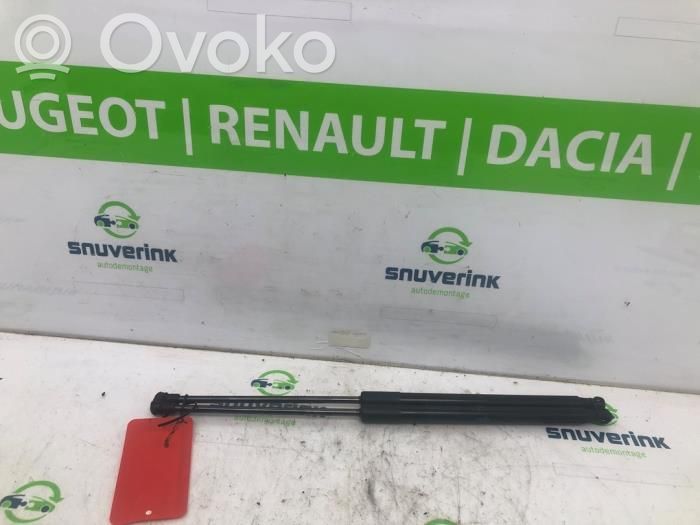 Citroen C1 Ammortizzatore portellone posteriore/bagagliaio