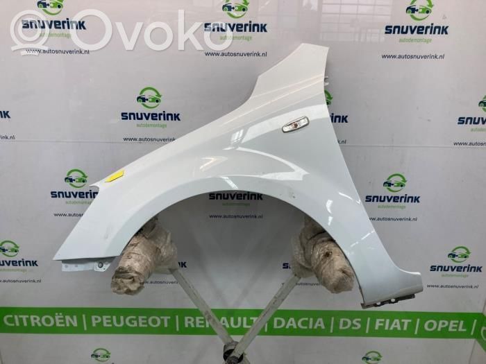 Guardabarro   663111H010
