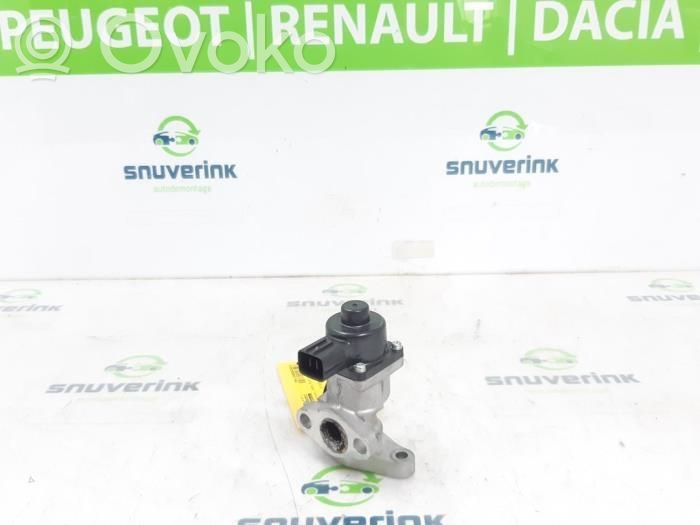 Renault Arkana Válvula EGR 