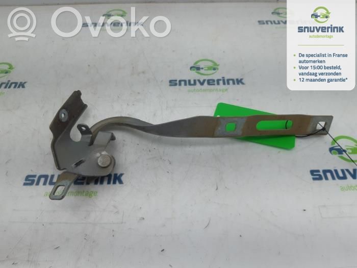 Opel Vivaro Engine bonnet/hood hinges 