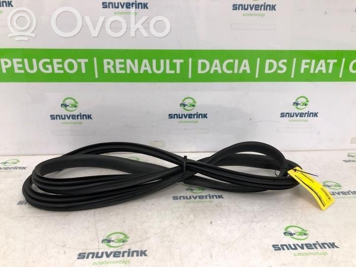 Renault Arkana Etuoven kumitiiviste