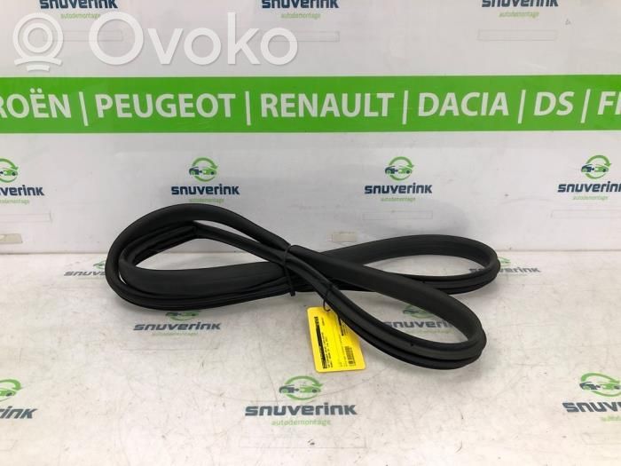 Renault Arkana Cheder ușă spate (caroserie) 
