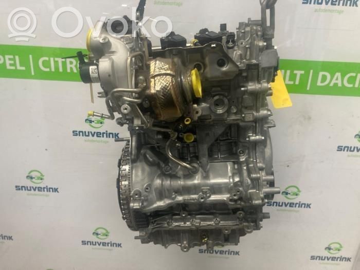 Engine   8201745630,144100467R,8201751289,8201753537,8201754107