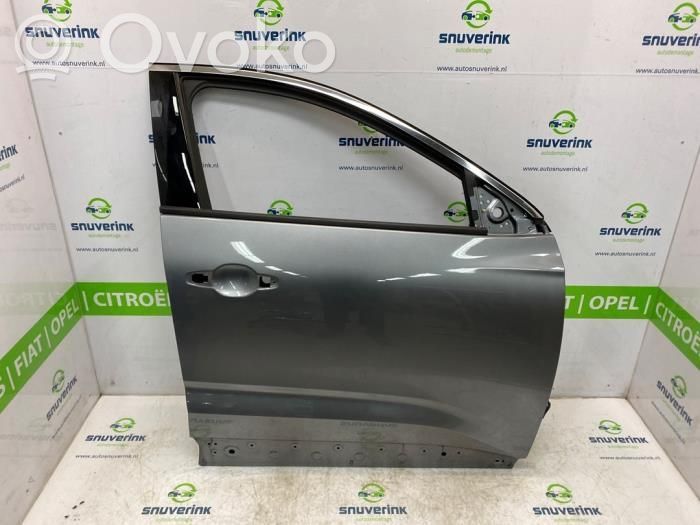 Puerta delantera   801009450R,801003197R,801008996R