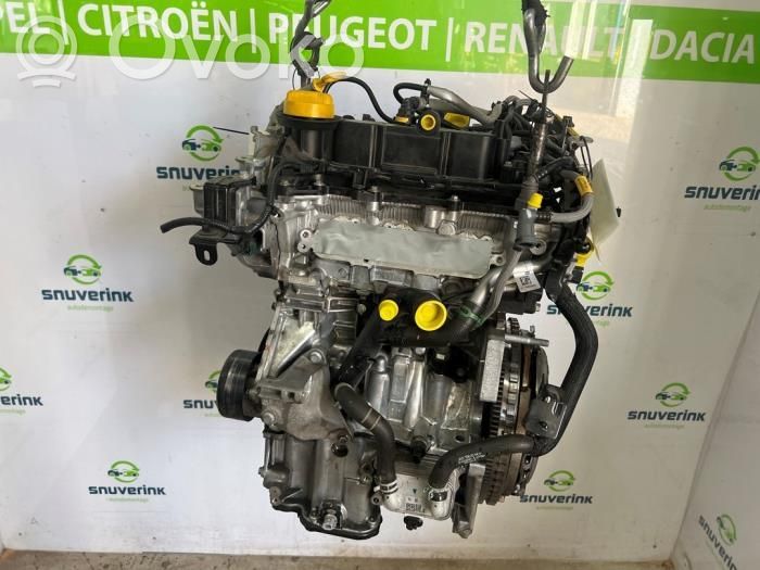 Engine   8201733029,100010227R,100011313R,100011358R,100012867R,100013342R,100013555R,100016391R,100018583R,100019038R,100019415R,100019848R,1010201Q3K,1010201Q5D,1010201Q5M,8201720530,8201730203,8201733030,MQ003406