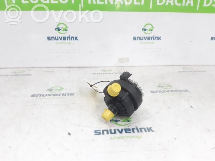 Renault Arkana Ūdens sūknis 