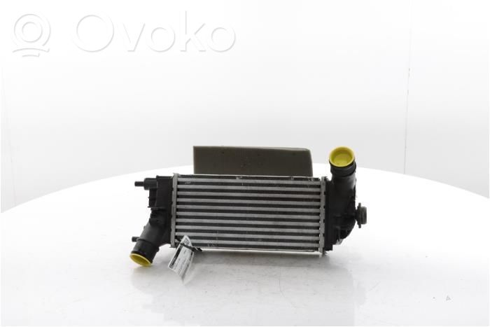 Radiatore intercooler   L1BG6D624AB,2524812,2524812