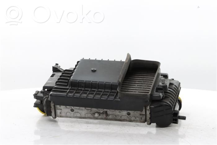 Renault Arkana Interkūlerio radiatorius 