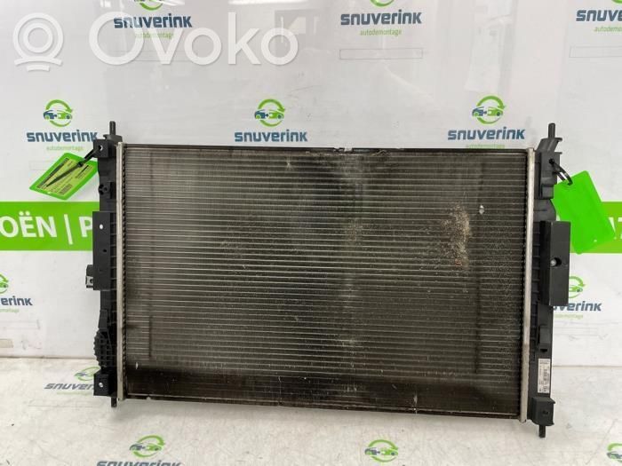 Coolant radiator   9809141780,1609648380,1609961580,1610017680,1611522480,1691075280,1691347580,3549988,3556160,3638336,7691075280,9673628780,9675747980,MM11803,MM11803J,RA2181
