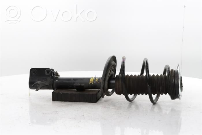 Stoßdämpfer vorne   543A02310R