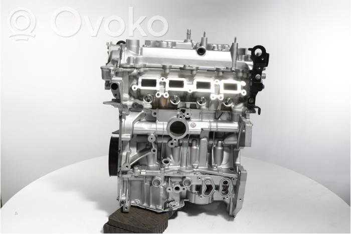 Engine   8201259932,100013817R,101024ED9B,101024ED9C,8201377658,8201378032,8201548595,8201588064,8201588172,8201625935,8201662847,8201704815,8201740096,8201748335,A2000100600,A2000101200,A2000102100