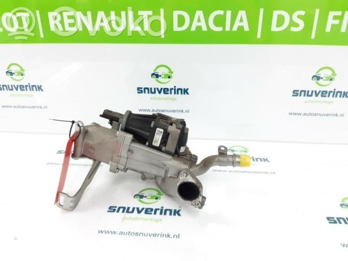 Citroen DS3 EGR valve 