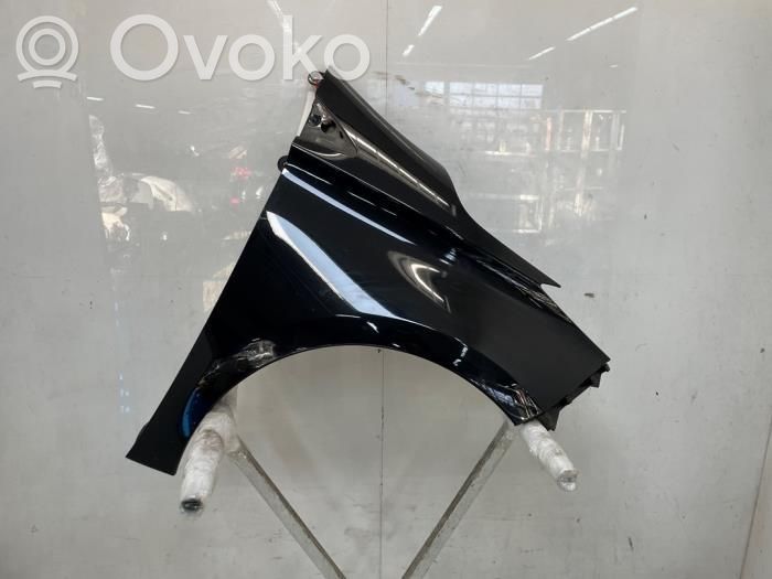Renault Zoe Fender 
