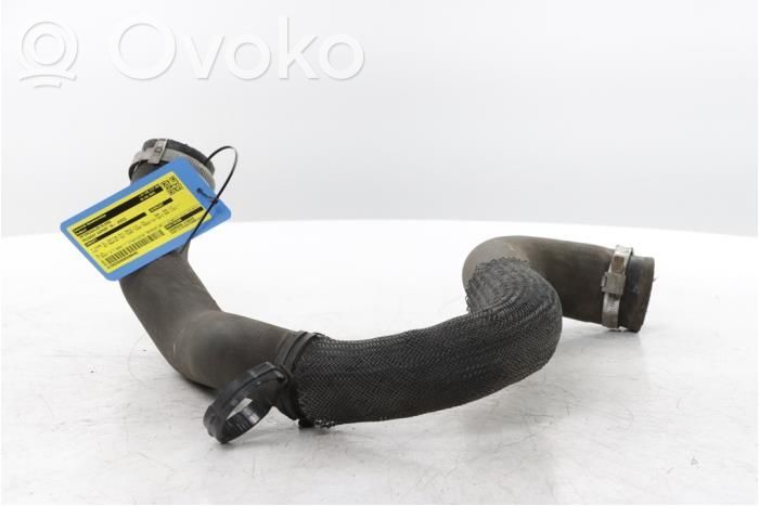 Peugeot Expert Furtun/conductă intercooler 