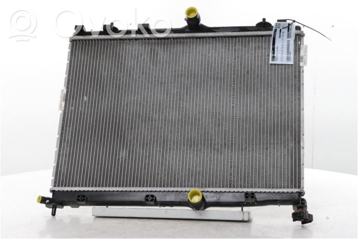 Peugeot 208 II Radiator lichid răcire 