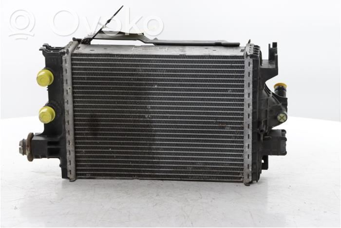 Renault Clio V Chłodnica powietrza doładowującego / Intercooler 
