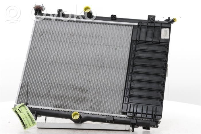 Opel Corsa F Radiator lichid răcire 