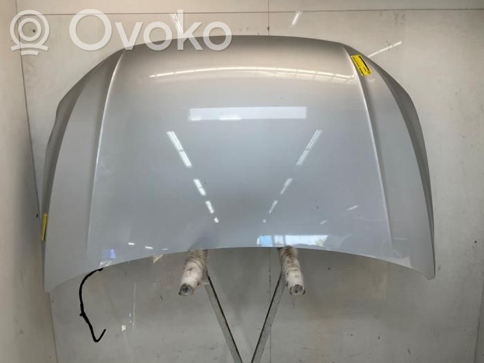 Volkswagen Polo VI Vano motore/cofano