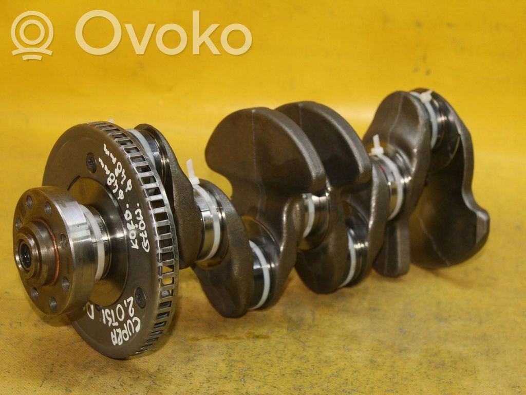 Crankshaft   06LF