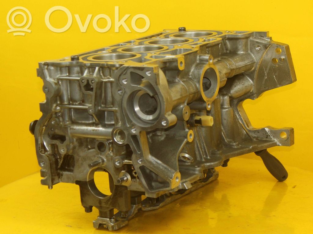 Nissan Juke I F15 Bloque de motor 
