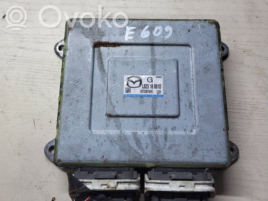 Engine control unit/module   L82318881D,E6T53976HS