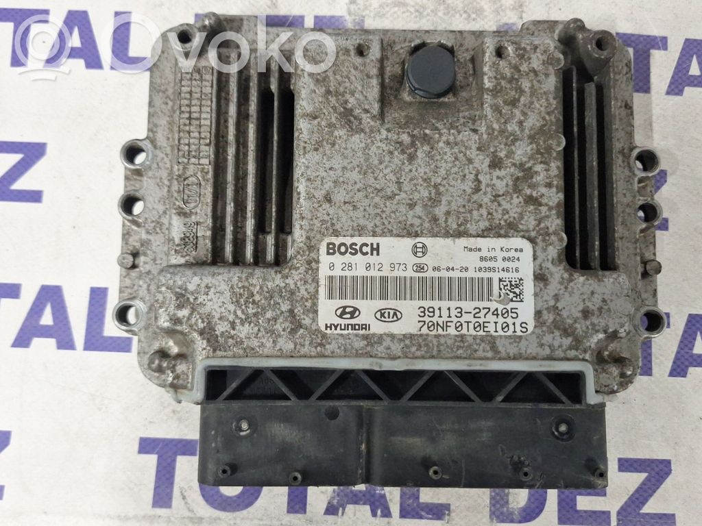 Engine control unit/module   3911327405,0281012973