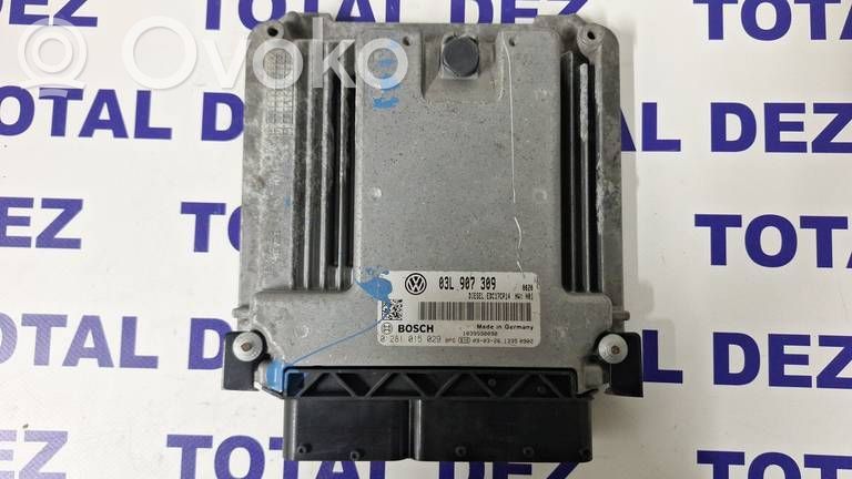 Volkswagen PASSAT B6 Unitate/modul de control motor 