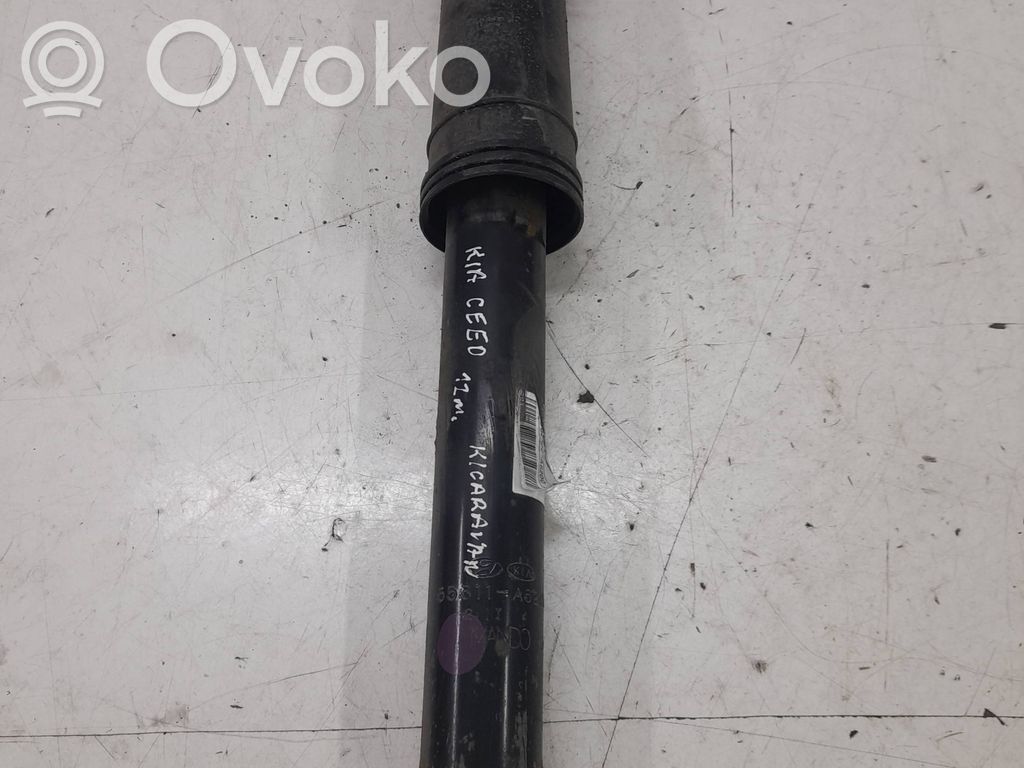 Amortiguador trasero   55300