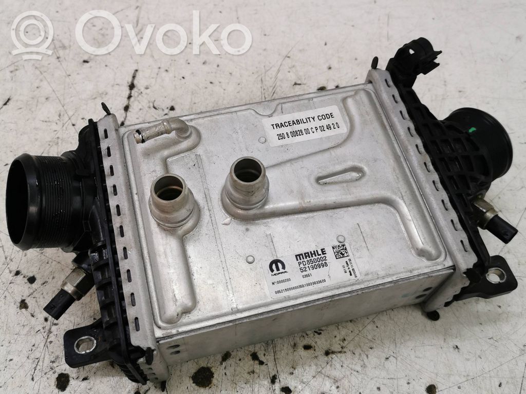 Interkūlerio radiatorius   52190998,0000200,PD850002