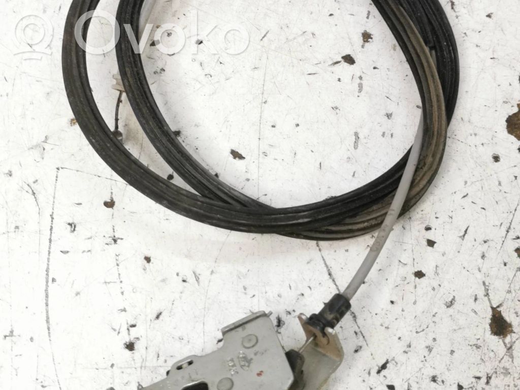 Trosīte   081211