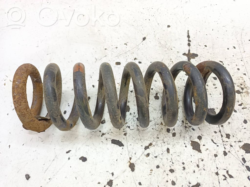 Rear coil spring
