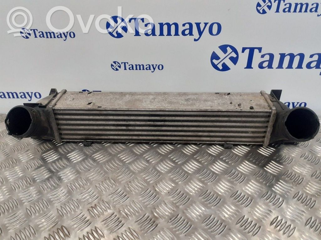 Intercooler radiator   3213329,204DA