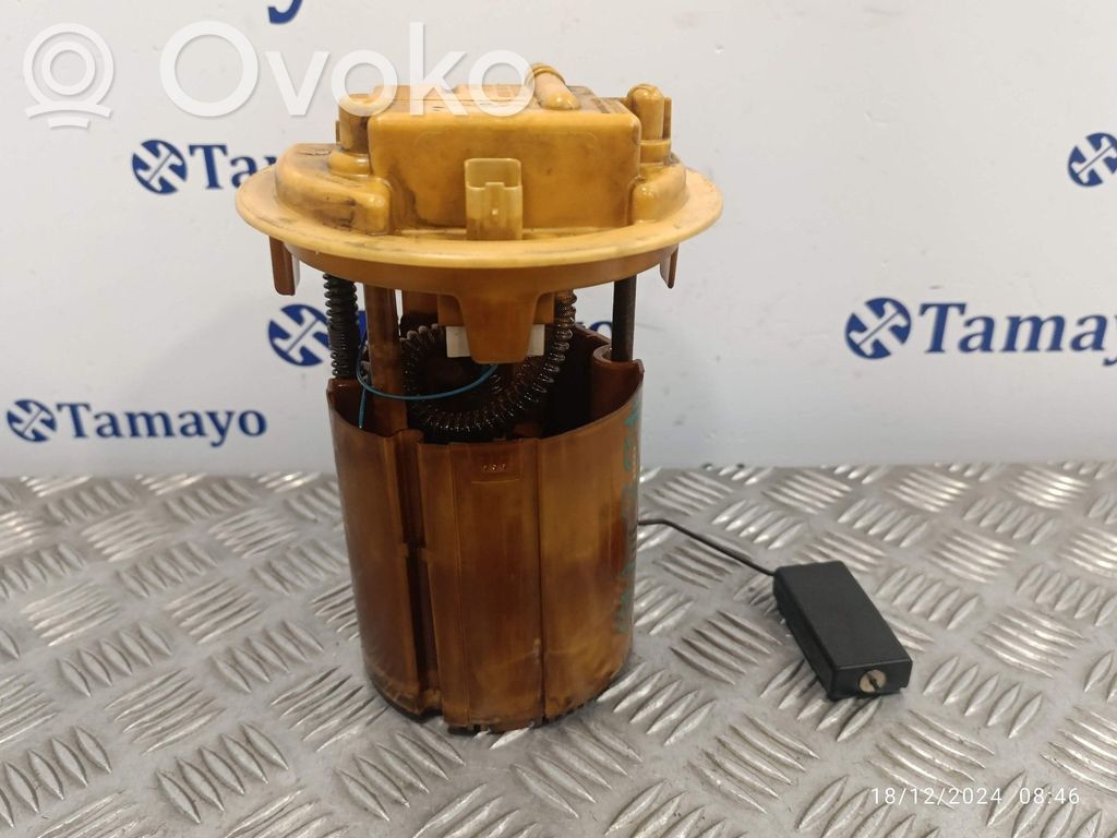 Peugeot 207 In-tank fuel pump 