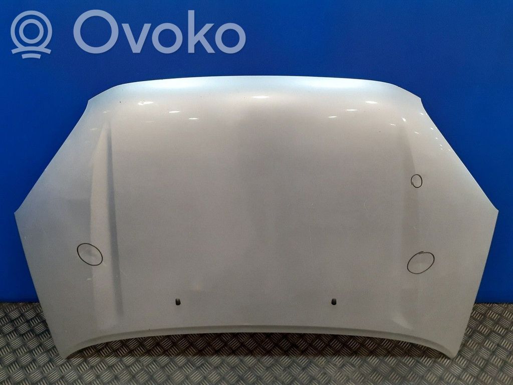 Motorhaube