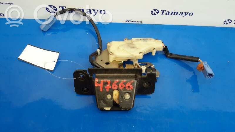 Tailgate lock latch