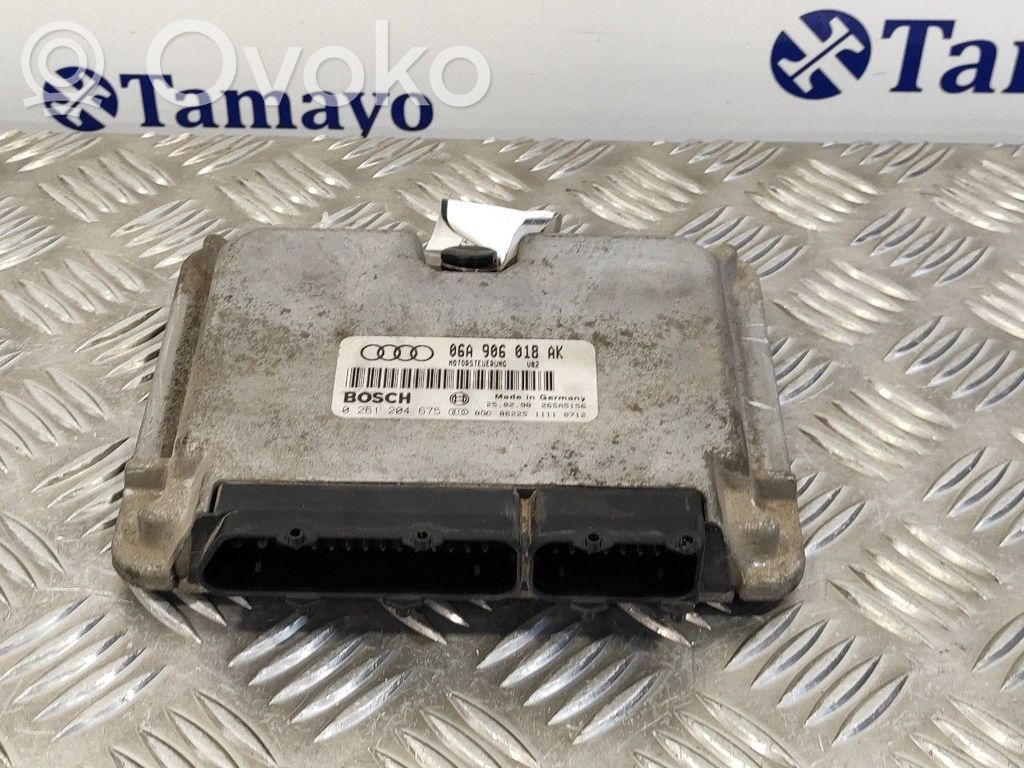 Engine control unit/module   0261204675,26SA5156,06A906018AK