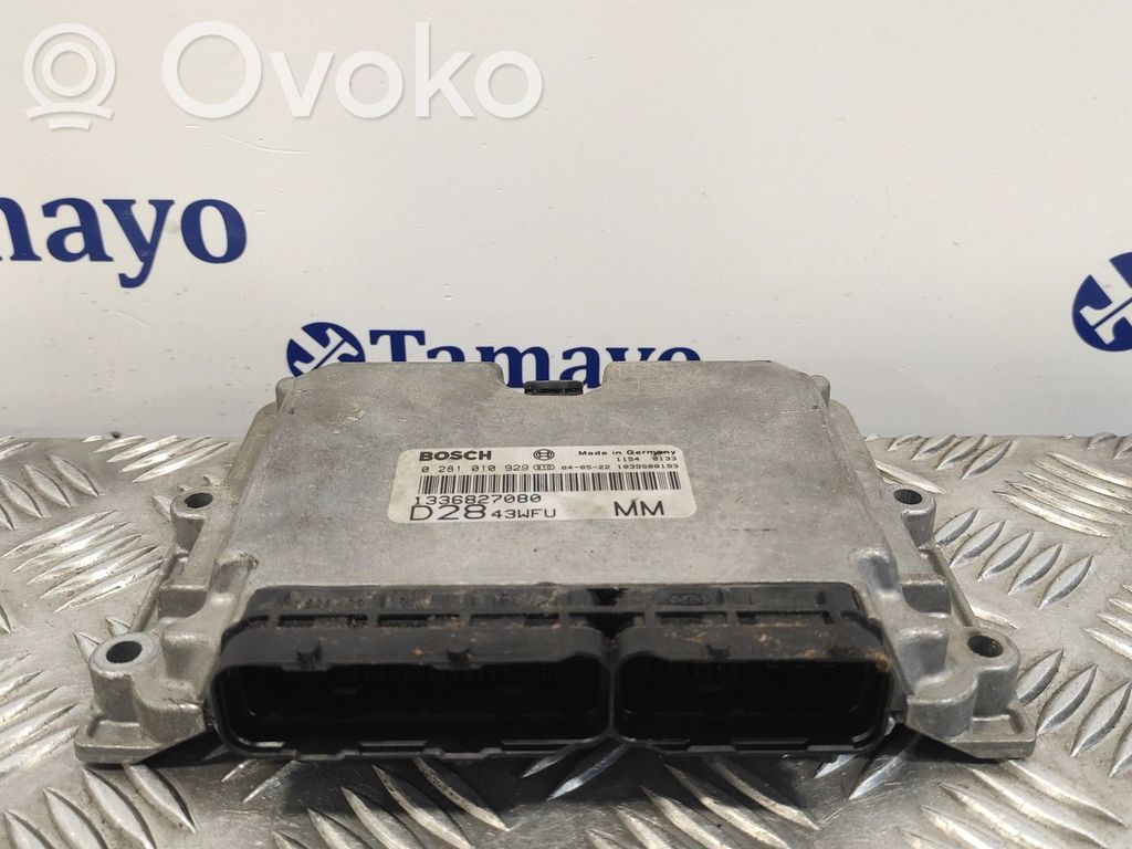 Engine control unit/module   0281010929,D2843WFU,1336827080