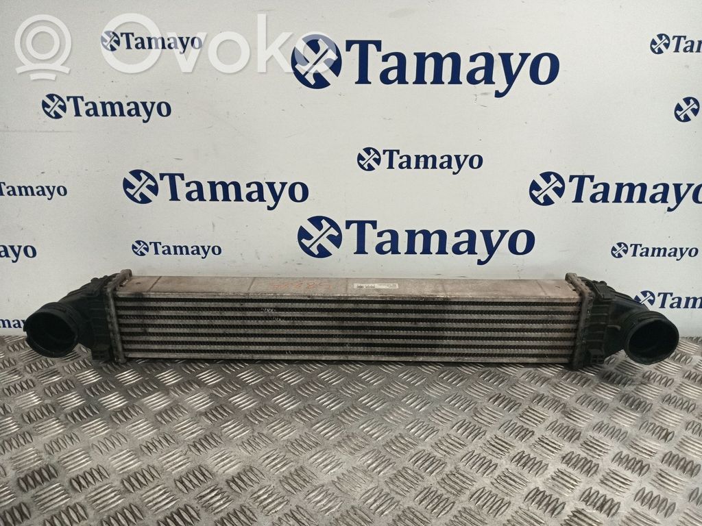 Mercedes-Benz A W169 Radiator intercooler 