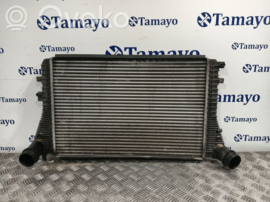 Volkswagen Golf SportWagen Radiatore intercooler 