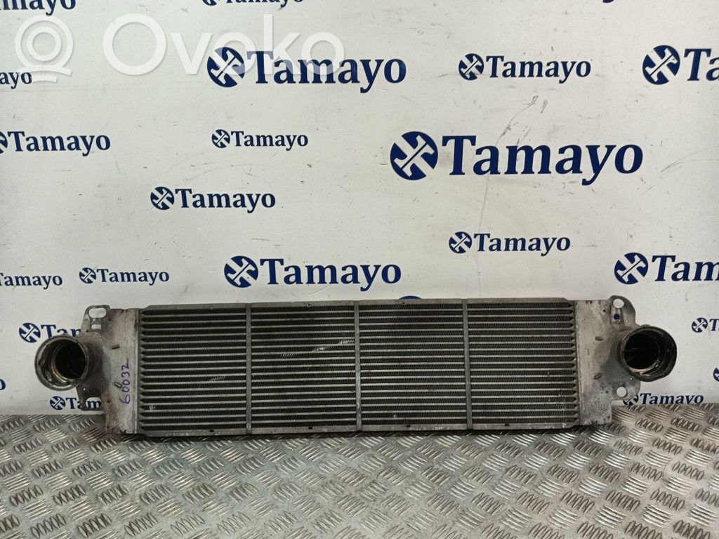Volkswagen Transporter - Caravelle T5 Radiator intercooler 