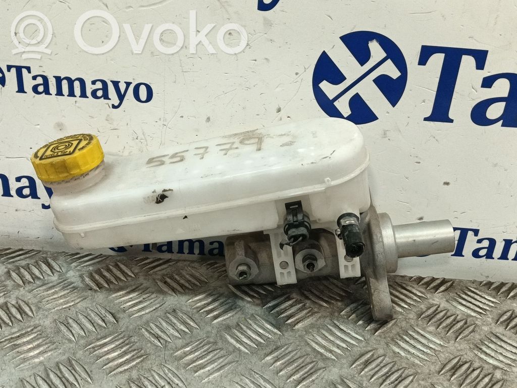 Fiat Ducato Servofreno 