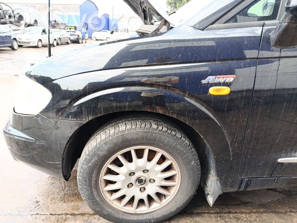 SsangYong Rodius Aripă 