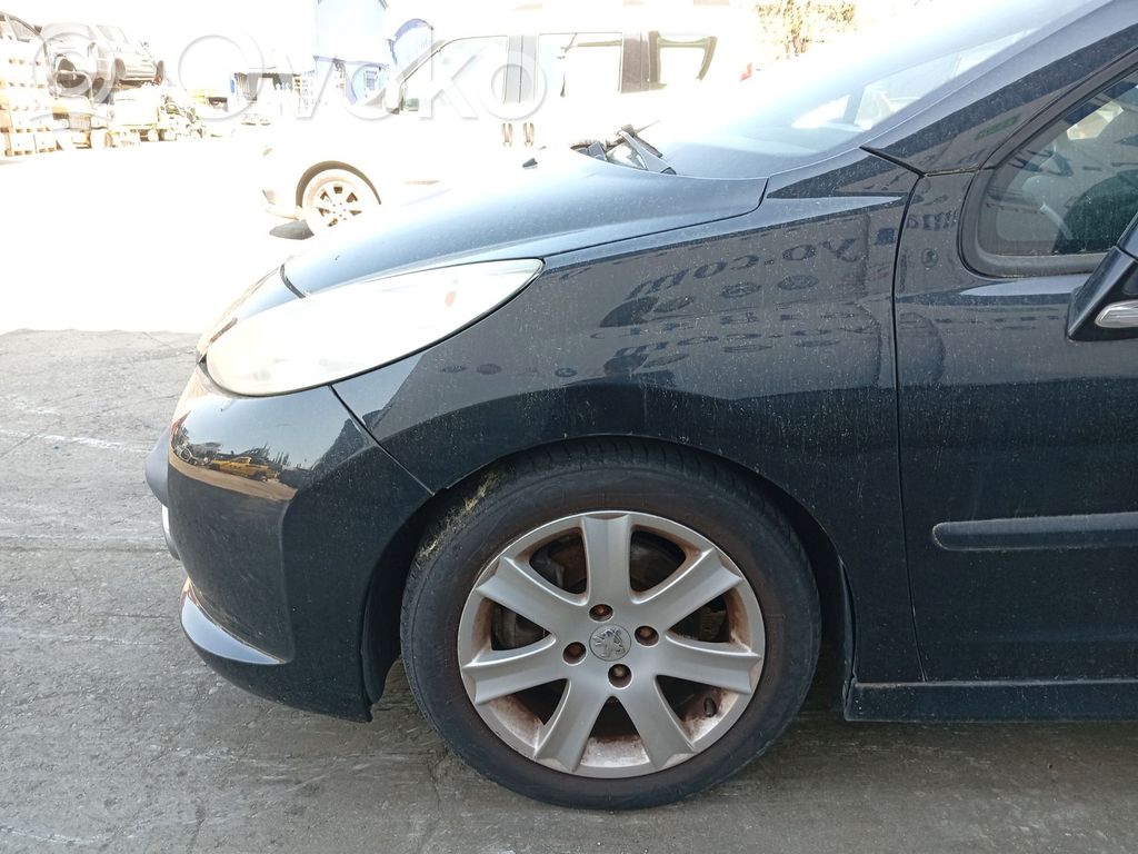 Peugeot 207 Kotflügel