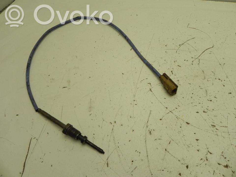Renault Captur Rubber seal loading door 