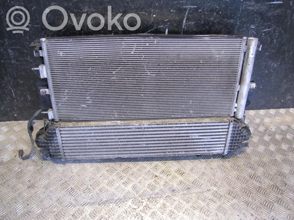 Ford Galaxy Radiatorių komplektas 