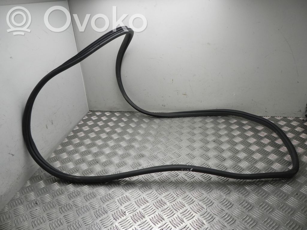 Hyundai Kona I Guarnizione in gomma portiera posteriore 