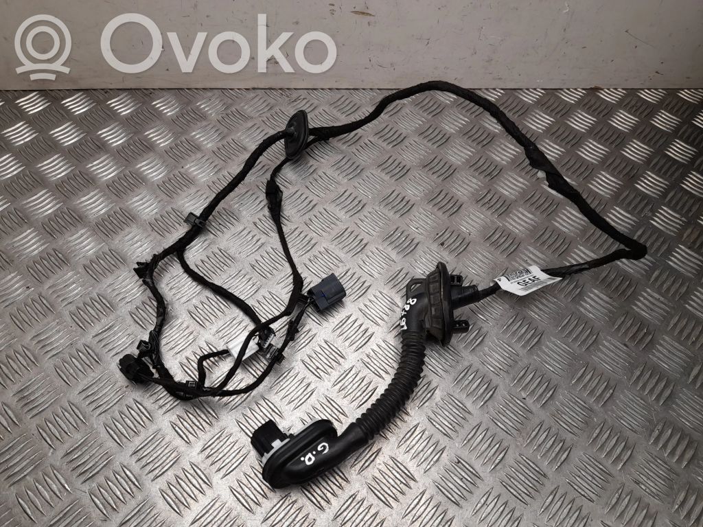 Ford Focus Cablaggio porta anteriore 